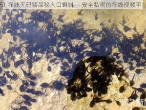 51 在线无码精品秘入口蝌蚪——安全私密的在线视频平台