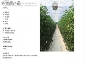 探索亚非一区二区三区四区的独特魅力，发现更多优质产品