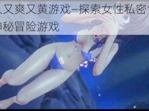 女人又爽又黄游戏—探索女性私密世界的神秘冒险游戏