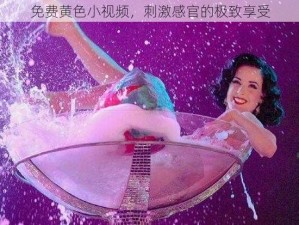 免费黄色小视频，刺激感官的极致享受