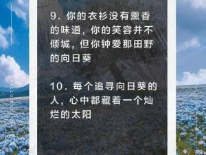 在无风的角落追寻太阳：温暖旋律唤醒心灵之旅