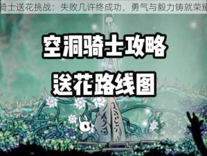 空洞骑士送花挑战：失败几许终成功，勇气与毅力铸就荣耀之路