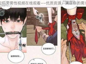 无码男男性视频在线观看——优质资源，满足你的需求