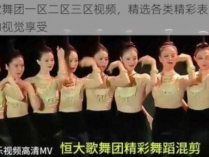 艳色歌舞团一区二区三区视频，精选各类精彩表演，满足您的视觉享受