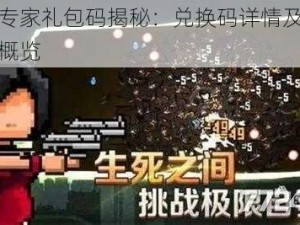 闯关专家礼包码揭秘：兑换码详情及优惠福利概览