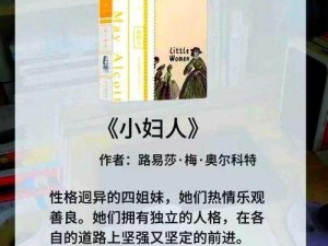 《路易莎的传家宝：通关攻略与获得方法》