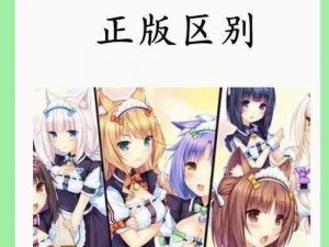 检查女子学院冷狐移植正版：守护你的游戏安全