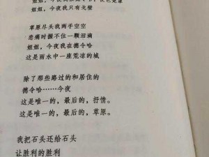 高中小诗日记教具-如何巧用高中小诗日记提升语文素养？