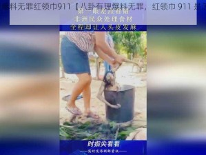 八卦有理爆料无罪红领巾911【八卦有理爆料无罪，红领巾 911 是怎么回事？】