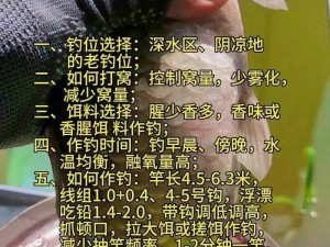 关于猫之城钓鱼技巧的探索与解析：如何轻松钓得大鱼