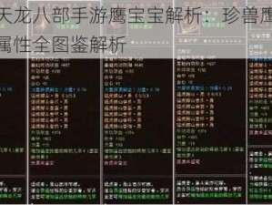 关于天龙八部手游鹰宝宝解析：珍兽鹰宝宝技能属性全图鉴解析