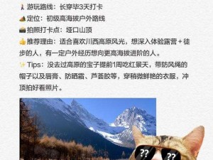 雪居胜地攻略：无限叠加甲流玩法实战指南