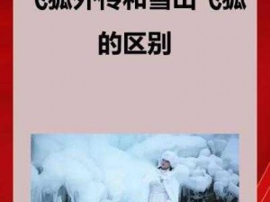 飞狐外传与雪山飞狐：深入剖析两作内容差异与故事特点探寻背后的故事之谜