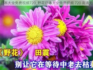 野花日本大全免费视频720_野花日本大全免费视频 720 高清无码版