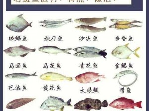 美味海洋的新篇章：换关探秘海洋美食的无限可能与更迭魅力