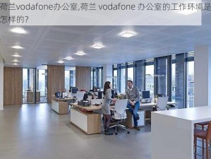 荷兰vodafone办公室,荷兰 vodafone 办公室的工作环境是怎样的？