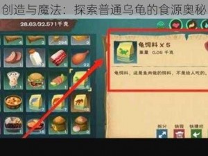 创造与魔法：探索普通乌龟的食源奥秘