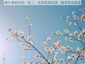 嫩叶草研究院一区二：优质视频资源，畅享视觉盛宴