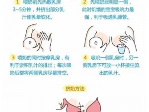 丰胸哺乳标清_标清(如何丰胸和哺乳期如何护理乳房)