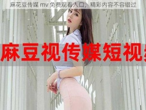 麻花豆传媒 mv 免费观看入口，精彩内容不容错过