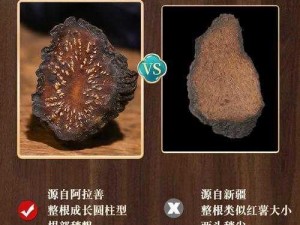 亚洲肉肉一级毛片：高品质肉苁蓉切片，精选内蒙古阿拉善肉苁蓉，传统工艺加工，无添加，营养丰富