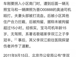 海淀银枪小霸王【谁是海淀银枪小霸王？他的故事为何如此引人关注？】