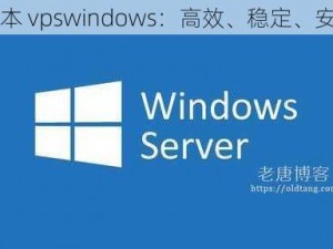 日本 vpswindows：高效、稳定、安全