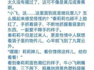 AV 国产精品毛片一区二区小说：揭秘成人世界的秘密