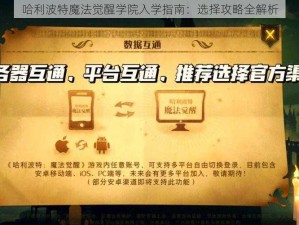 哈利波特魔法觉醒学院入学指南：选择攻略全解析