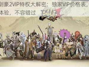 三剑豪2VIP特权大解密：独家VIP价格表，尊贵体验，不容错过