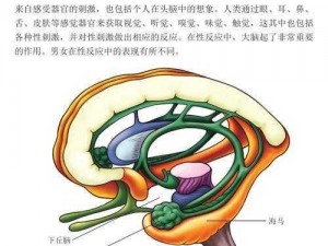 逼尻【什么是逼尻？它在生物学和行为学上有什么意义？】