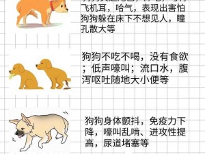 狗狗射速太快对女生有伤害吗_狗狗射速太快是否会对女生造成伤害？