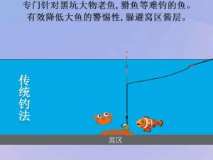 新手钓鱼入门全攻略：从基础技巧到实战经验的全方位解析