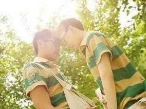 国产chinese男男Gay免费视频;国产 chine se 男男 Gay 免费视频是否符合你的要求？