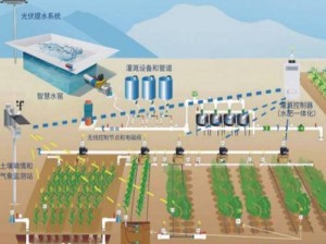 精准灌溉技术在农业生产中的创新应用：最新浇地办法探讨与实践