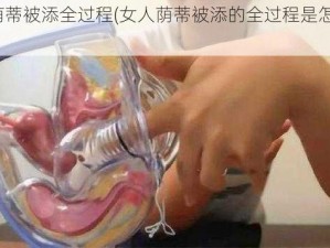 女人荫蒂被添全过程(女人荫蒂被添的全过程是怎样的？)