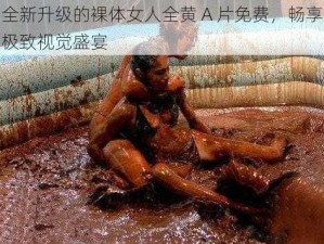 全新升级的裸体女人全黄 A 片免费，畅享极致视觉盛宴