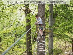 如何在荆棘丛林危险重重中受伤后寻得治愈之道