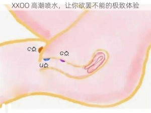 XXOO 高潮喷水，让你欲罢不能的极致体验