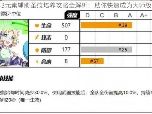 崩坏3元素辅助圣痕培养攻略全解析：助你快速成为大师级玩家