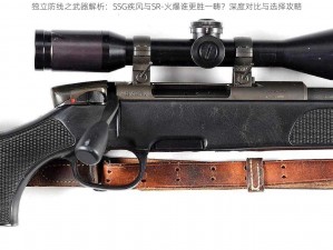 独立防线之武器解析：SSG疾风与SR-火爆谁更胜一畴？深度对比与选择攻略