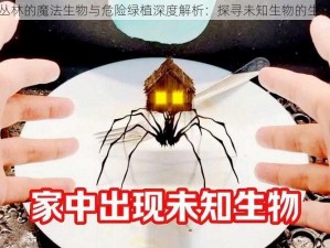 荆棘丛林的魔法生物与危险绿植深度解析：探寻未知生物的生存之道