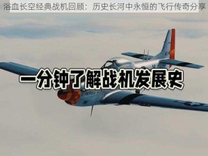 浴血长空经典战机回顾：历史长河中永恒的飞行传奇分享