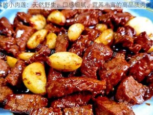 活佛的小肉莲：天然野生、口感细腻、营养丰富的高品质肉类产品