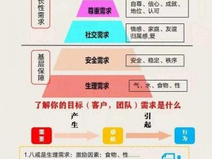 人幸理论与XY理论的关系、人幸理论与 XY 理论的关系是什么？