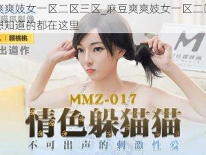 麻豆爽爽妓女一区二区三区_麻豆爽爽妓女一区二区三区，你想知道的都在这里