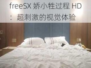 freeSX 娇小牲过程 HD：超刺激的视觉体验