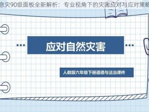 息灾90级面板全新解析：专业视角下的灾害应对与应对策略