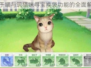 关于喵与筑猫咪寻宝换袋功能的全面解析