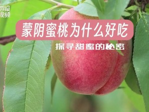 做爰XXX视频毛片下载蜜桃视频：高清无码，畅享私密时刻